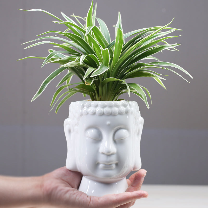 Buddha head ceramic pot