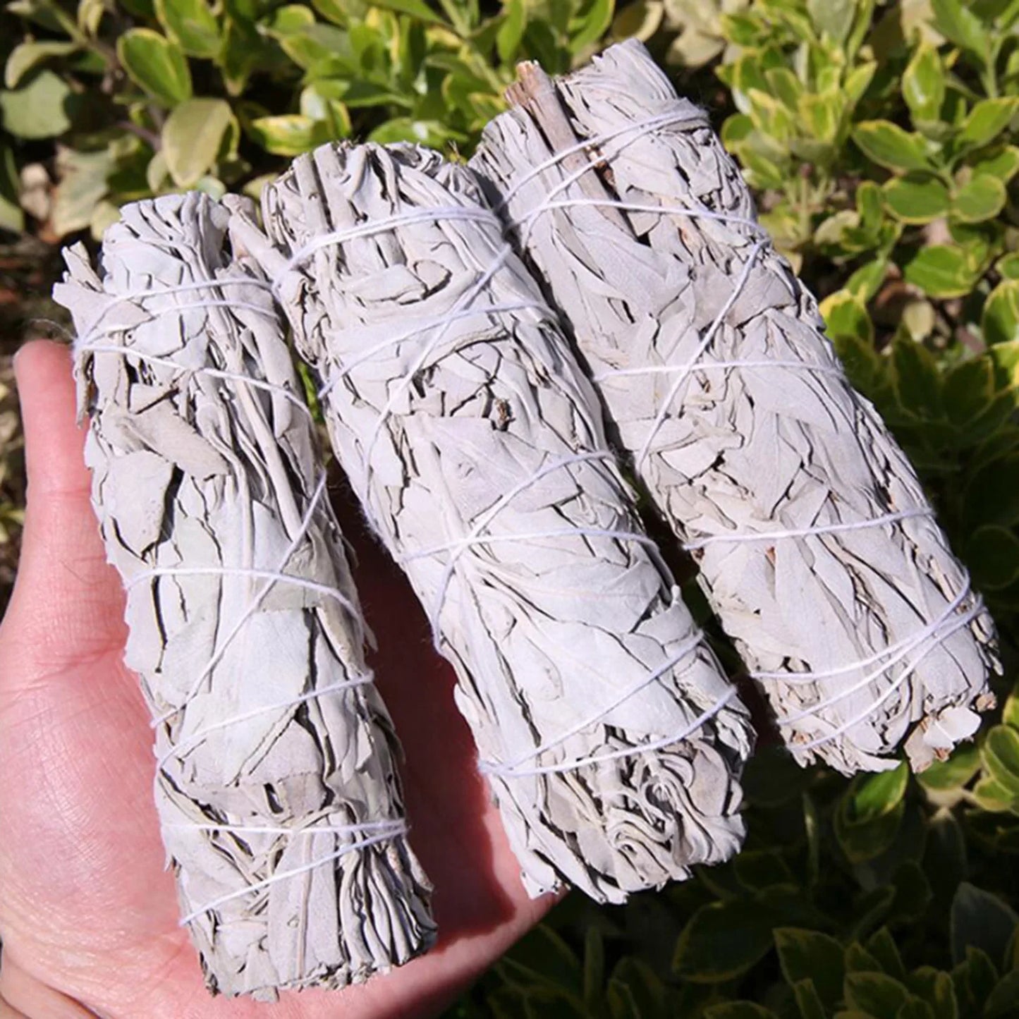 Sage sticks for spiritual healing